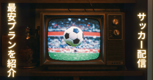 サッカーだけ見たい方向け 動画配信サービス紹介