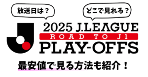 J1昇格プレーオフはどこで見れる？最安値で見る方法を紹介